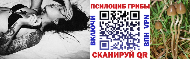 даркнет какой сайт MEGA онион Похвистнево дарнет шоп Галлюциногенные грибы MAGIC MUSHROOMS